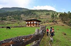 Grünes Gras im Mai in Bhutan 