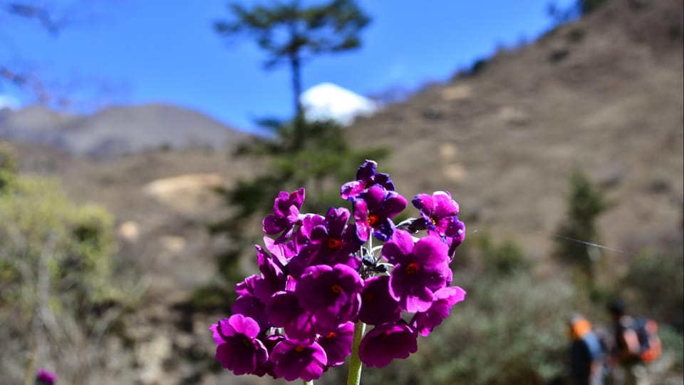bhutan-zur-besten-reisezeit.jpg
