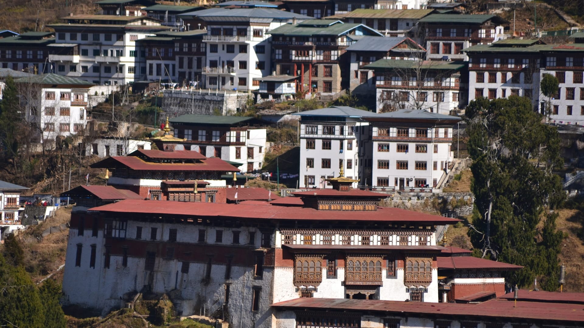 Thimphu city