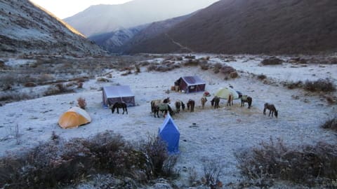 Trekking in Bhutan