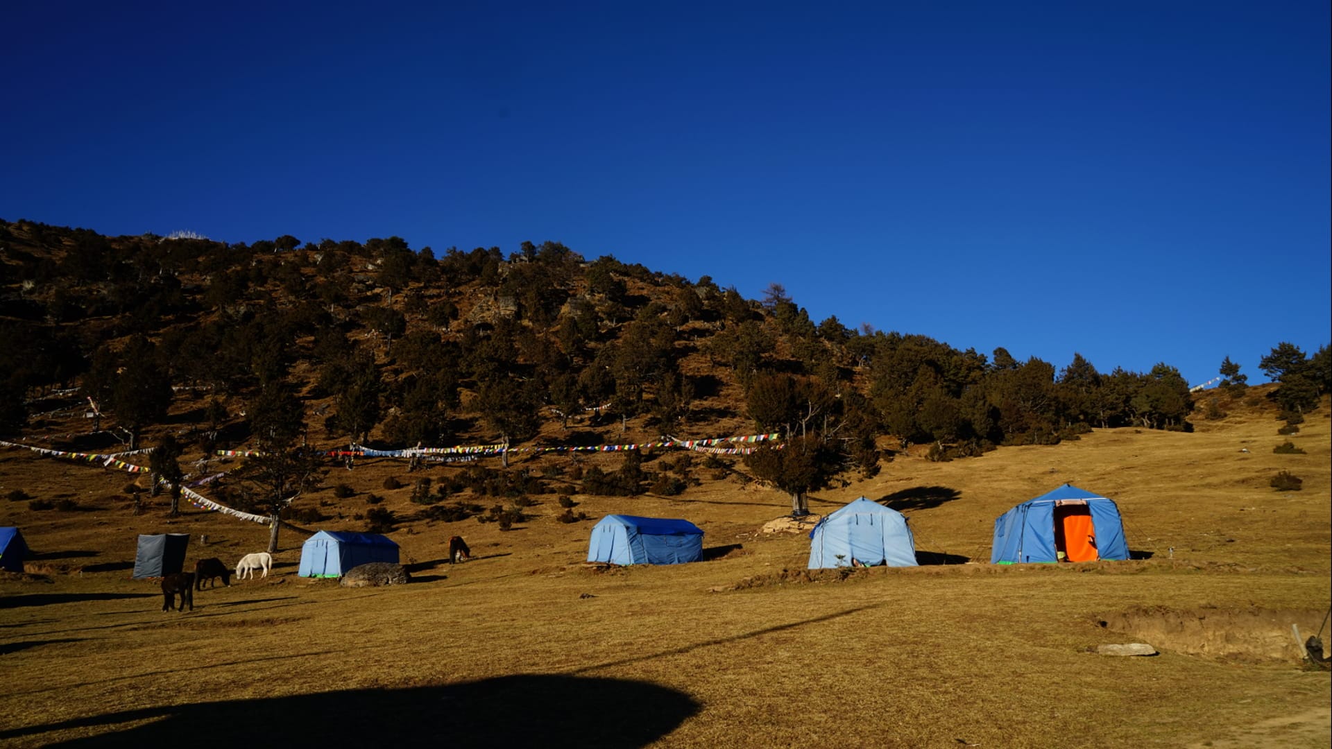 Tiger's Nest Trek via Bumdra Camp