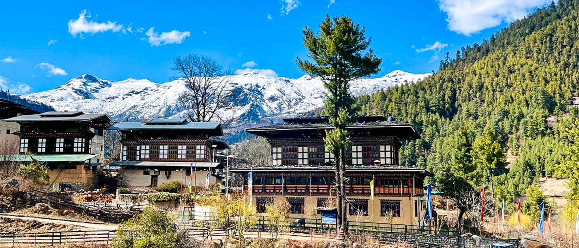 soednam-zhingkha-heritage-lodge-haa-valey.jpg